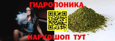 гашик Белореченск