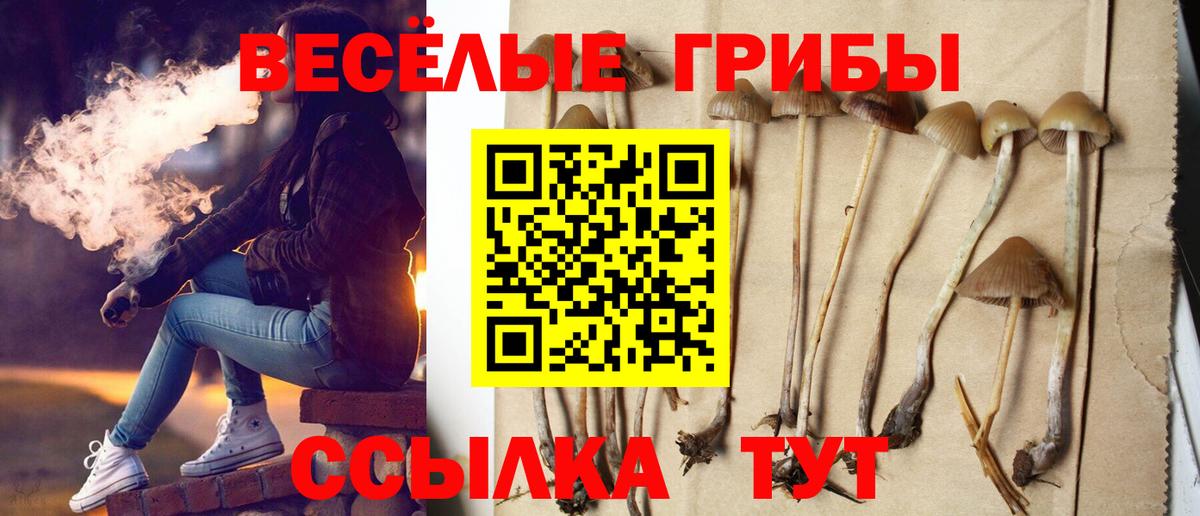 Псилоцибиновые грибы GOLDEN TEACHER Брянск
