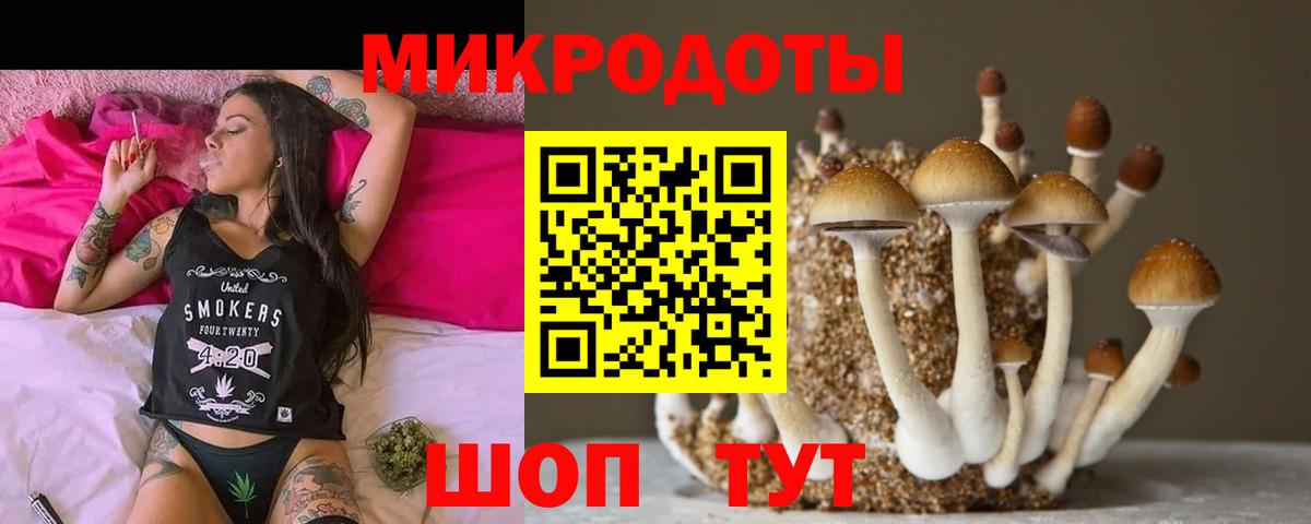 Псилоцибиновые грибы прущие грибы  Галлюциногенные грибы Cubensis  наркошоп  Вход с VPN  Брянск 