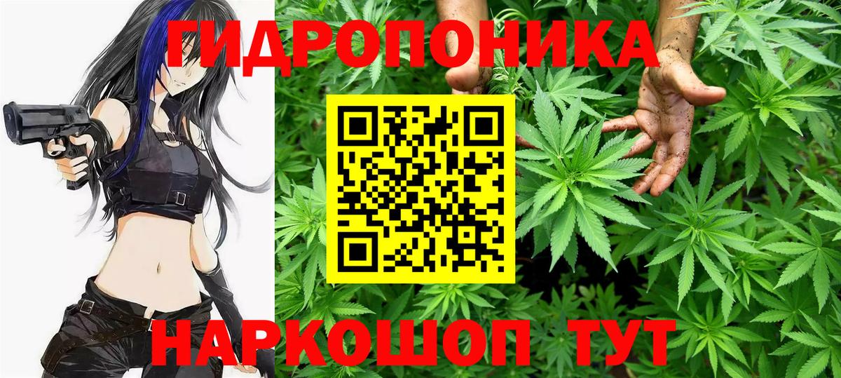 Бошки Шишки THC 21% Брянск